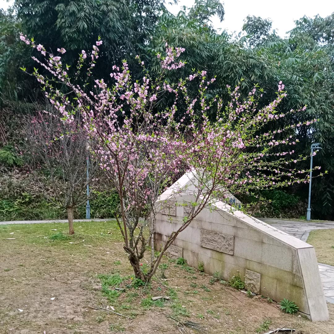罗源彩色哥