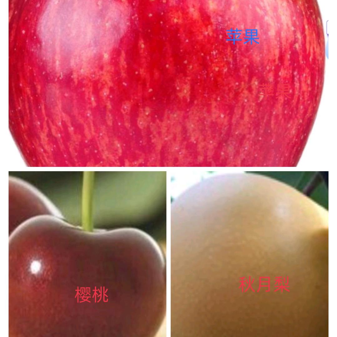 岭庄李果佬