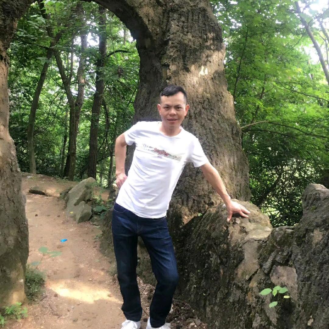 杨家少帅