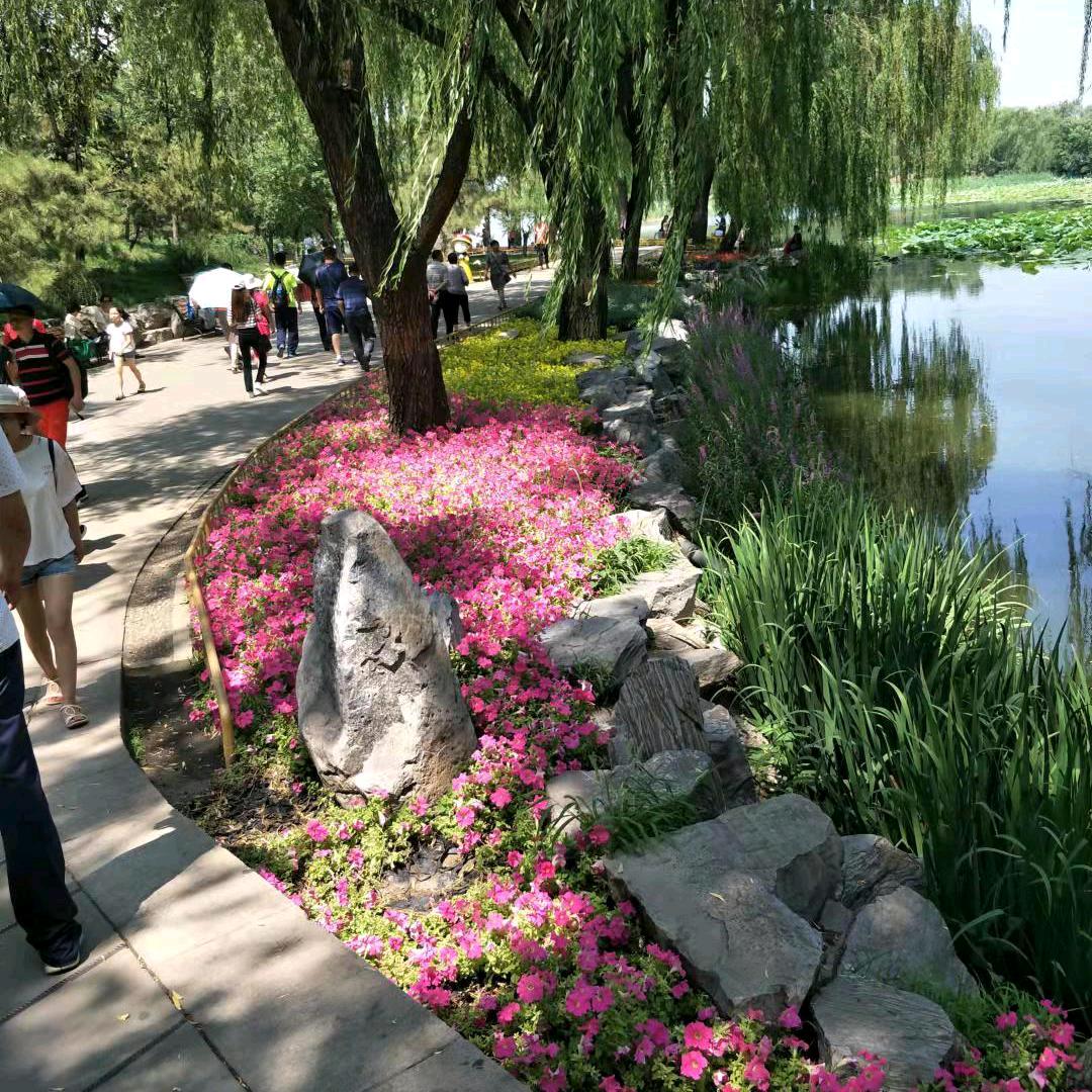 心静如水 (-^〇^-)