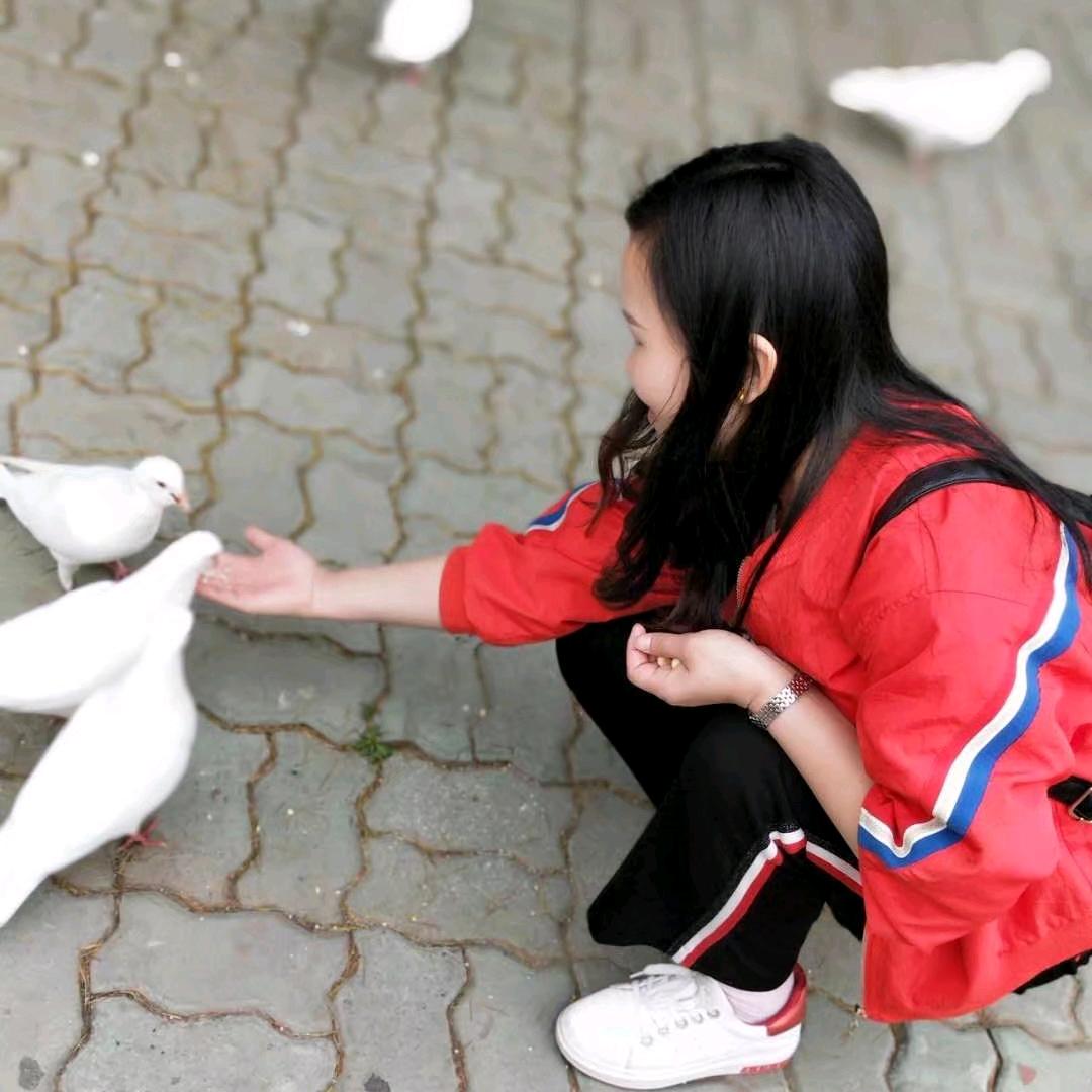 淡淡清香