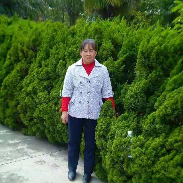 老高 、乡村生活记录