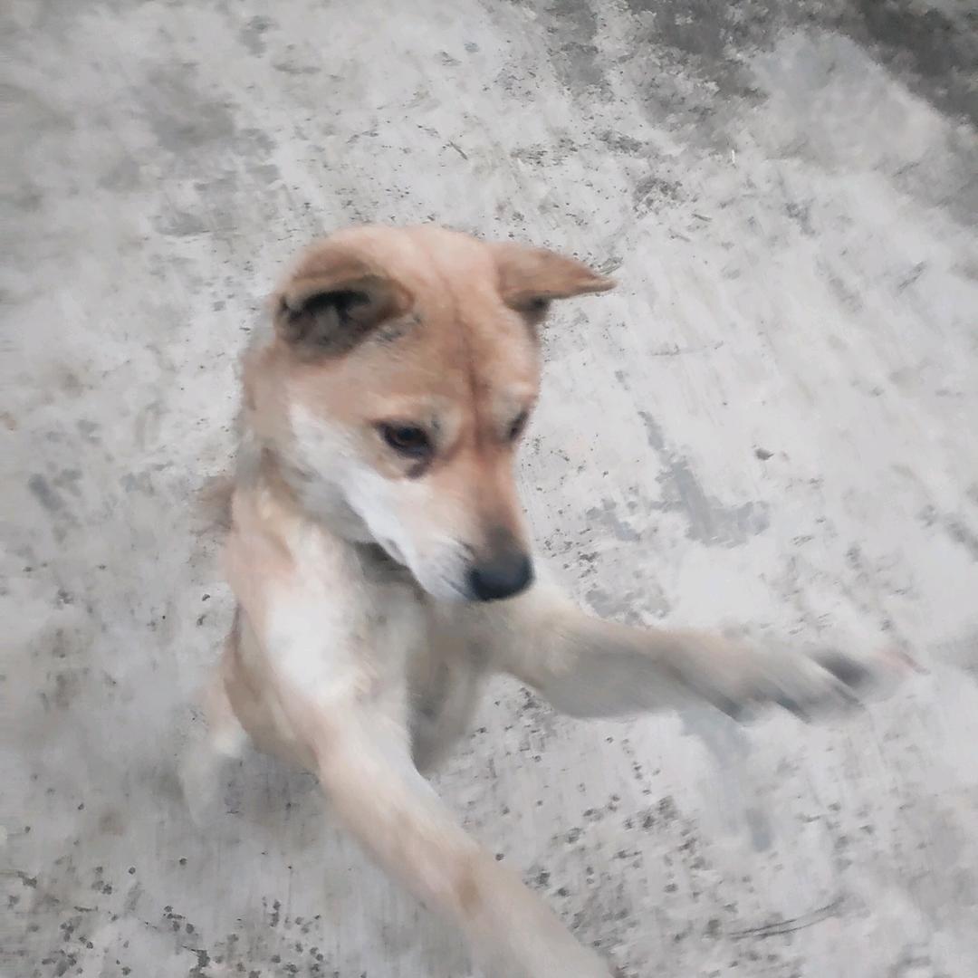 时间会改变我们