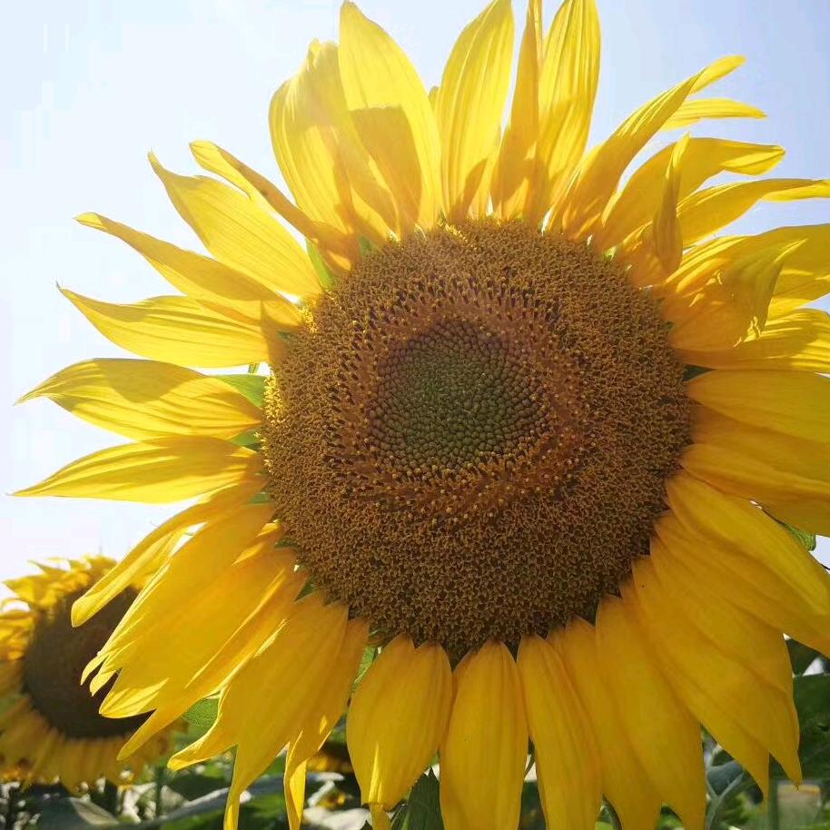 小雯雯💕🇨🇳