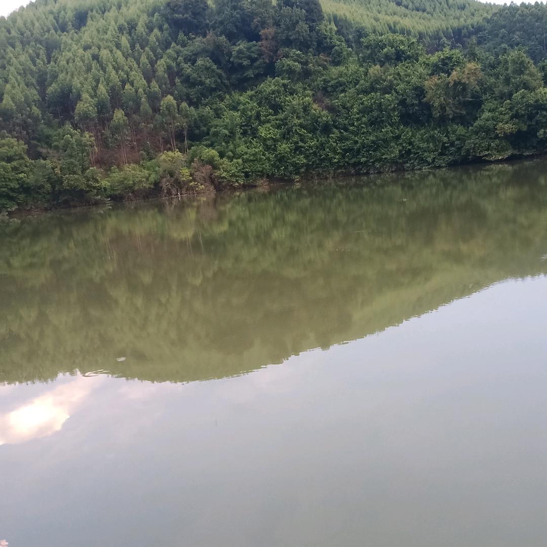 🥀এ᭄不必 ꦿ谁💔懂我ོ࿐ᩚ