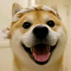 来福💫