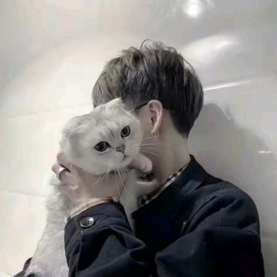 满山猴我腚最红