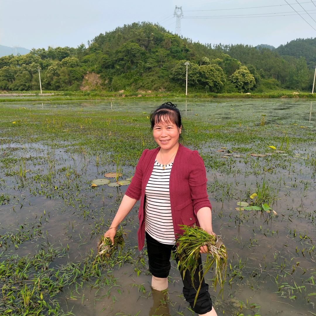 乡村娥姐