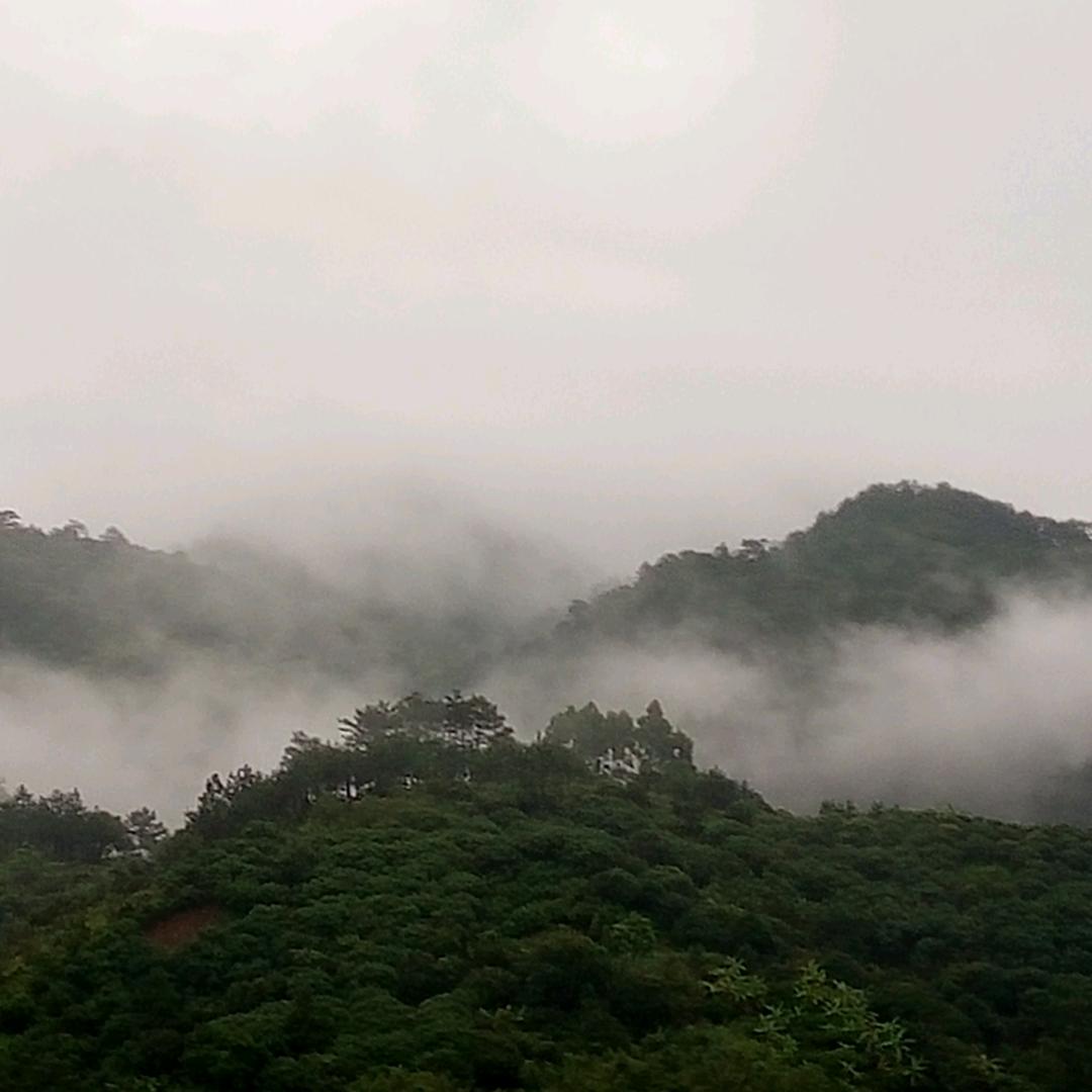 胡成武