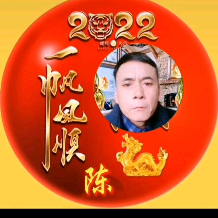 河南陈哥