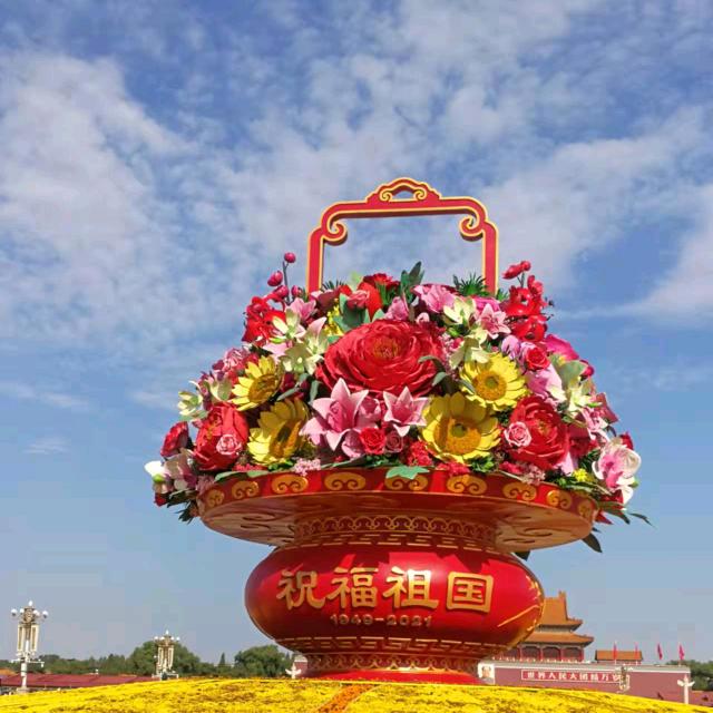 一路向阳
