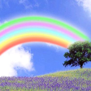 雨后彩虹🌈