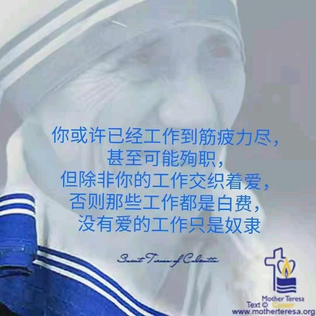 执子白头031807021008