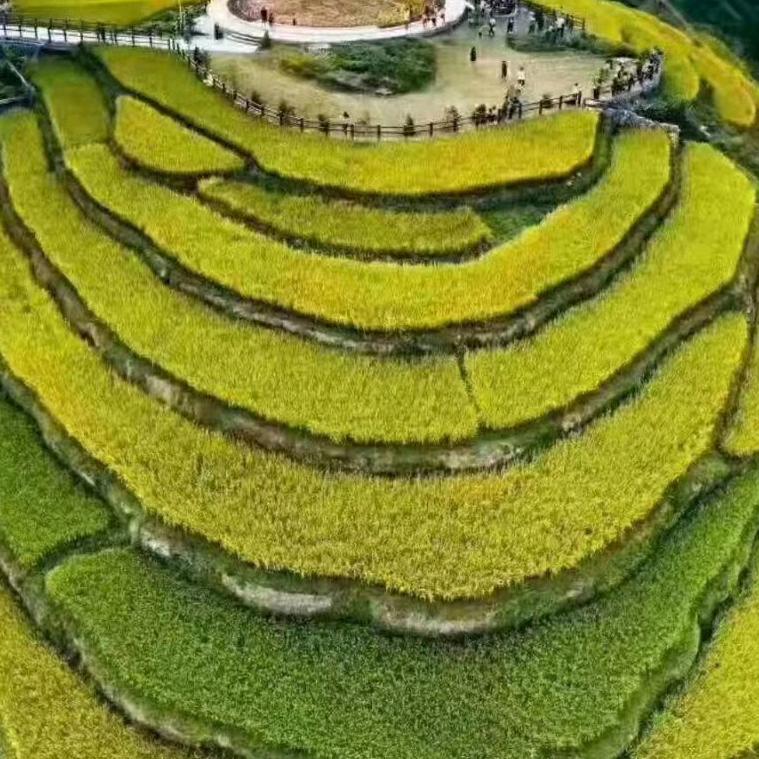 专运博白直冲河沙！石碴！（庞英）