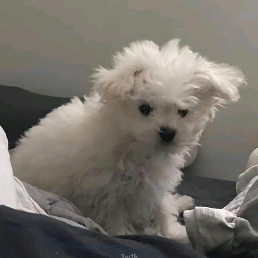 哈哈ｸﾞｯ!(๑•̀ㅂ•́)و✧