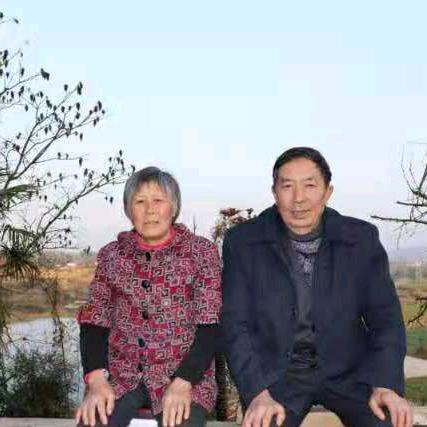 胡启梅