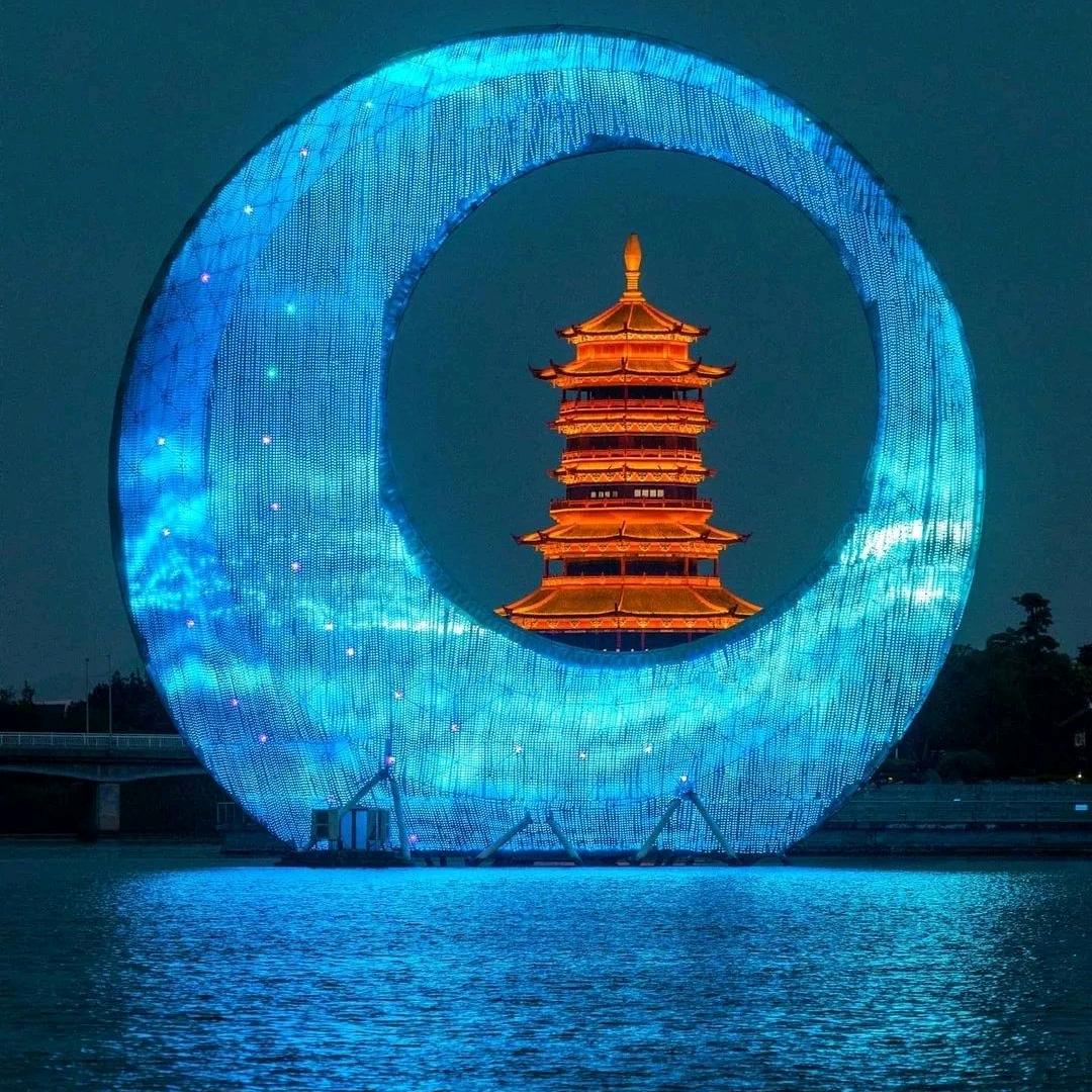 石韵来