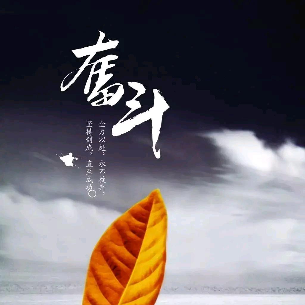 《果然》