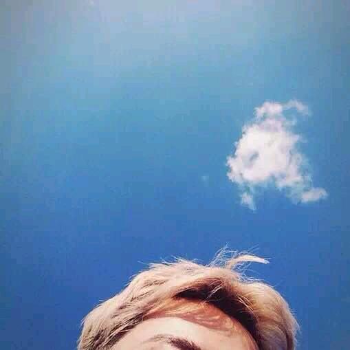 花开的时候你就来看我