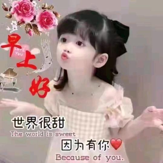 我的人生我买单