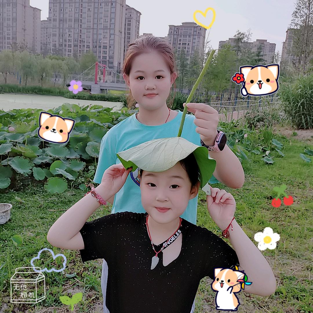 芯想斯晨