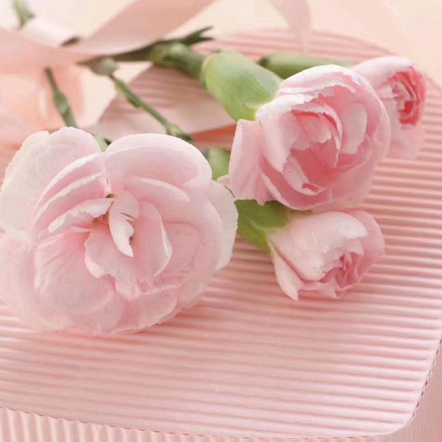 ꧁༺ ྀBaby ൢ༻꧂ ྀ