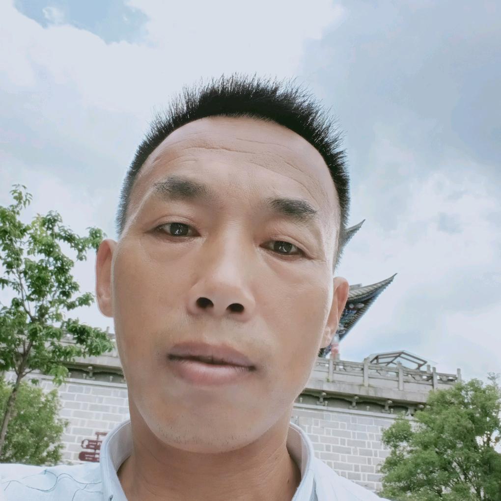 随意