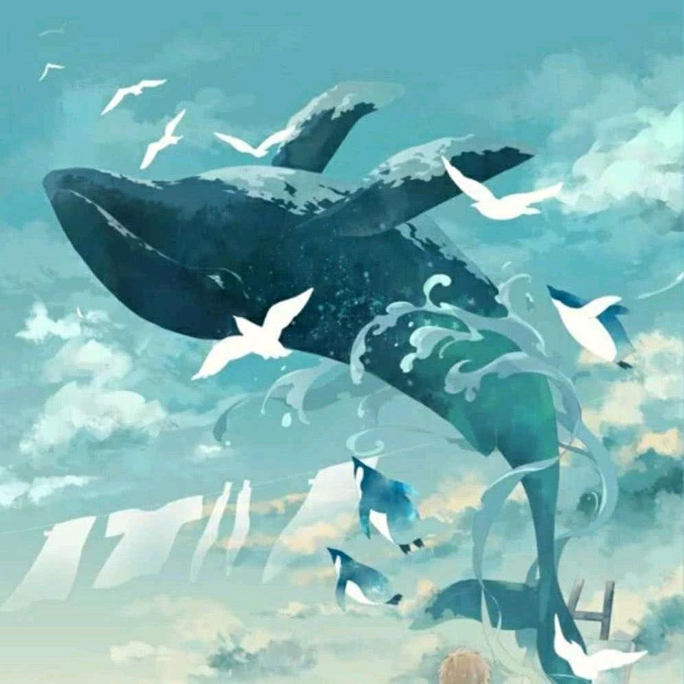 爱摸🐠的毛毛