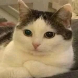 这是什么人间疾苦