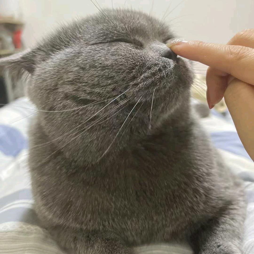 云烟成雨🥹