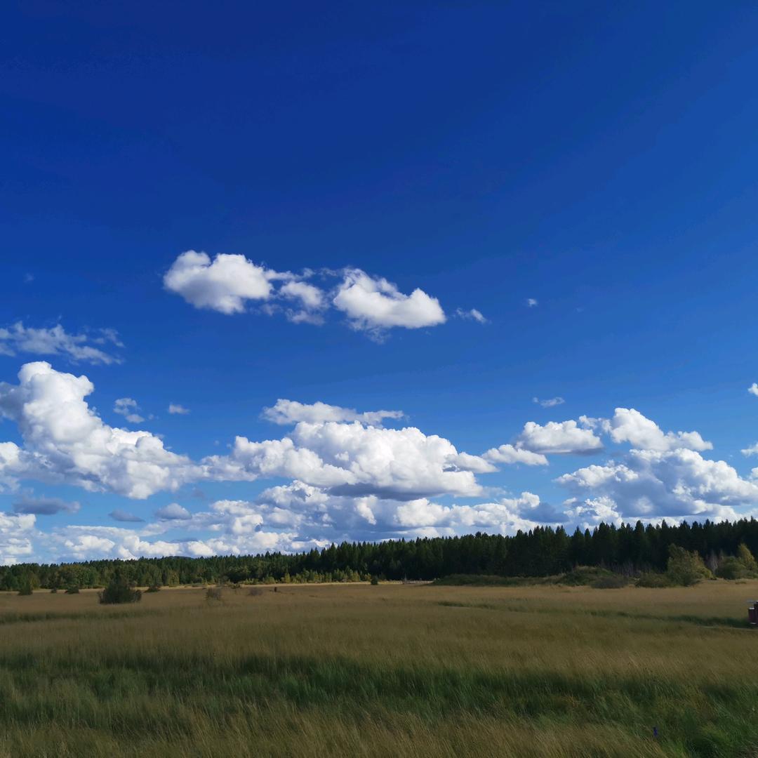 🏀冷静🏀用户149920：\：：：：