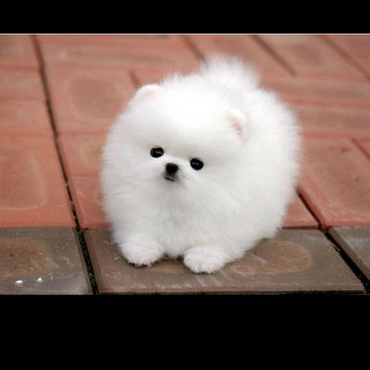 八方来财63991133810