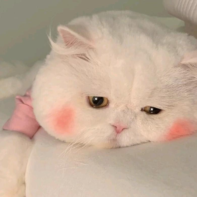 神明花嫁