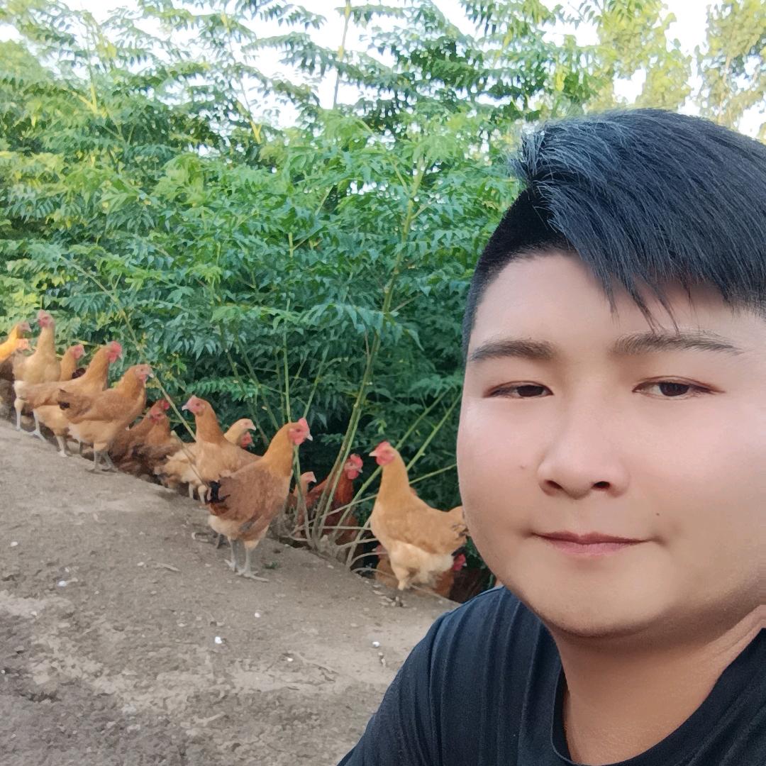 庭哥生态养殖