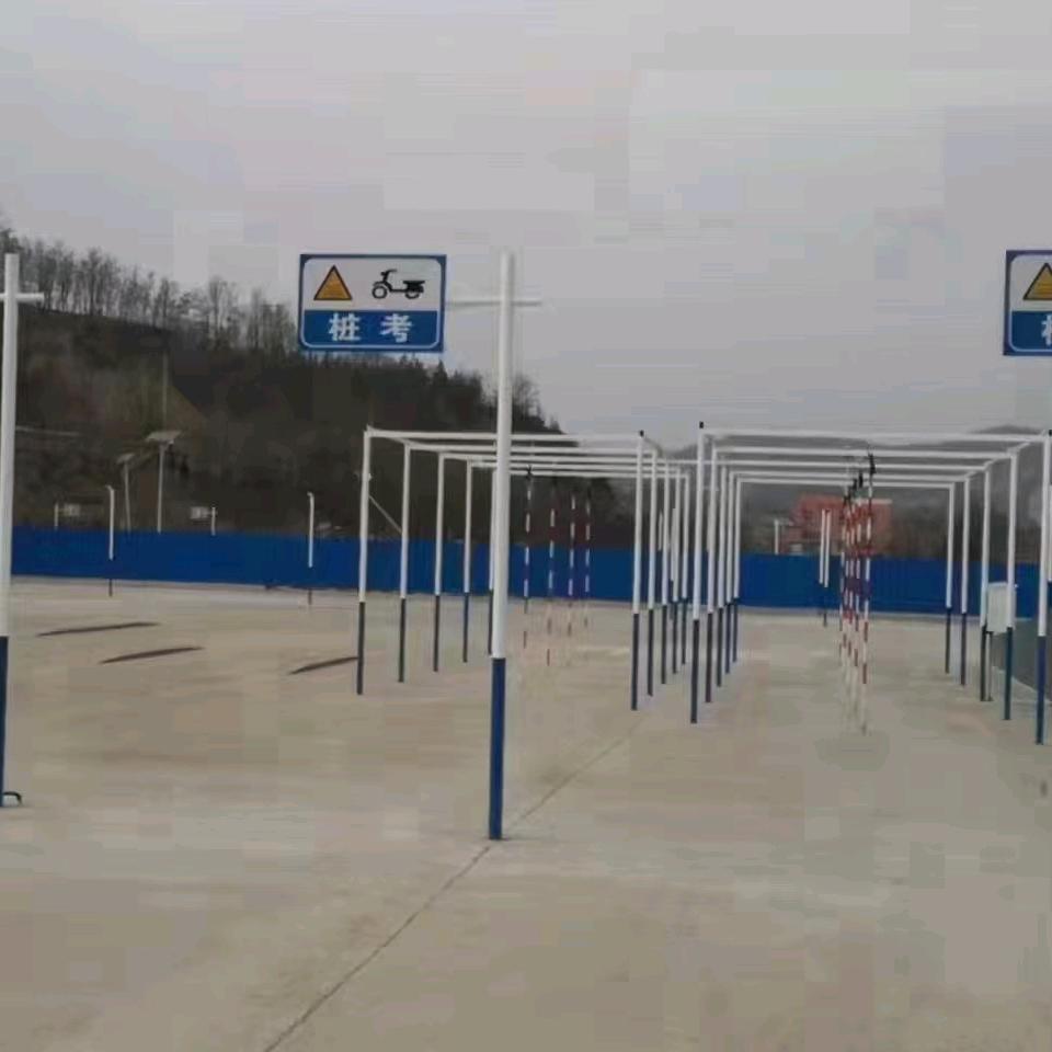姐姐学车