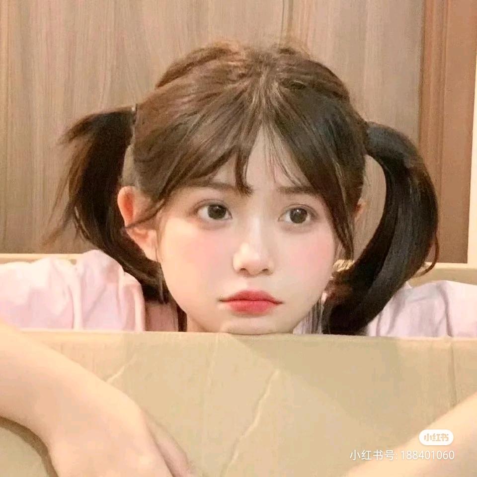 猫猫蛇