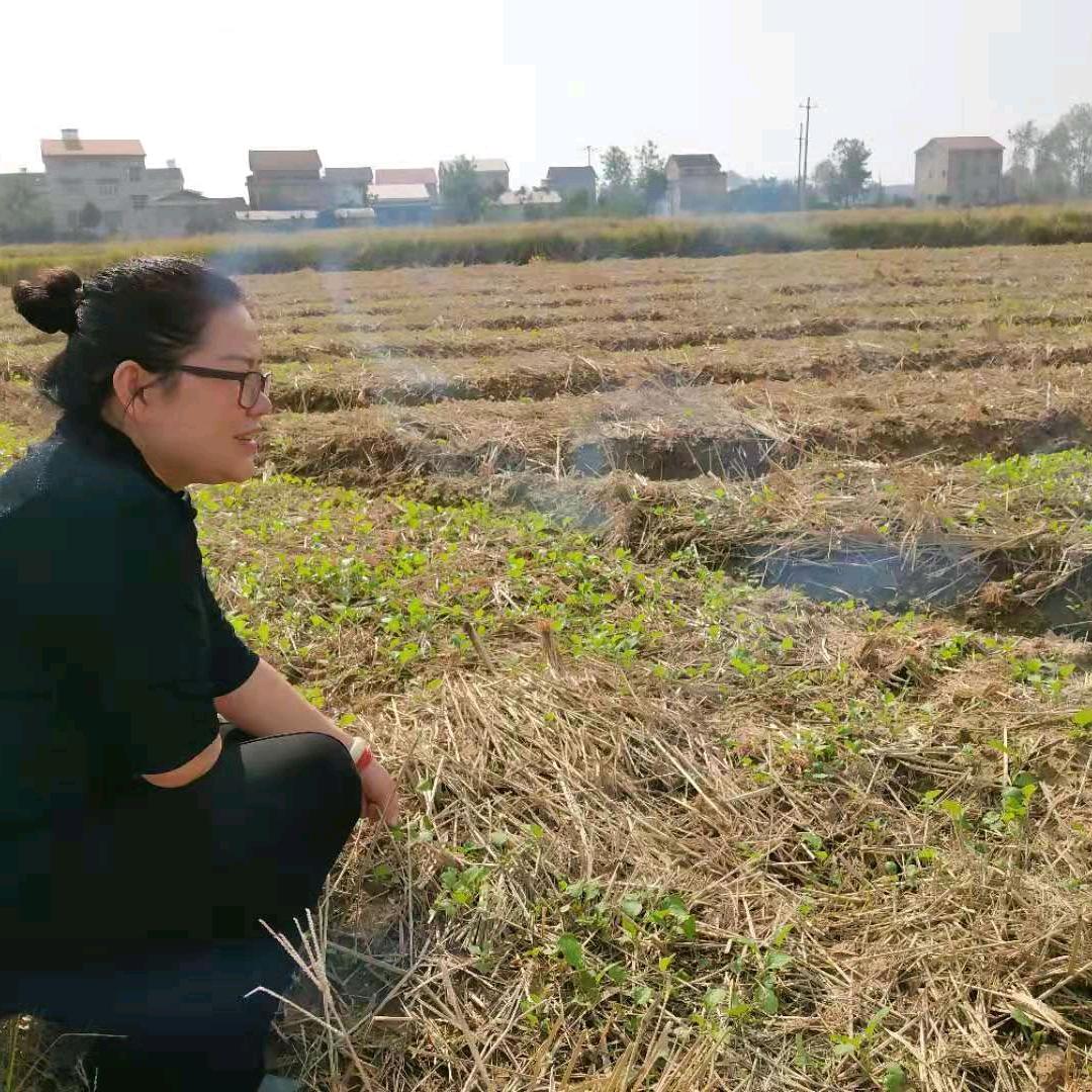 益禾有稻—珺姐