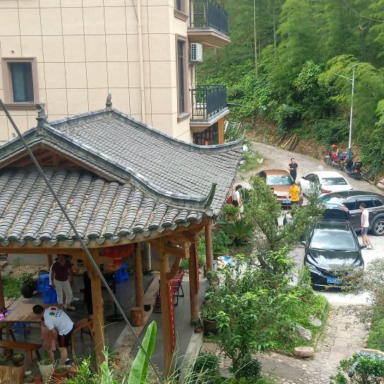 神龙谷青梅农庄