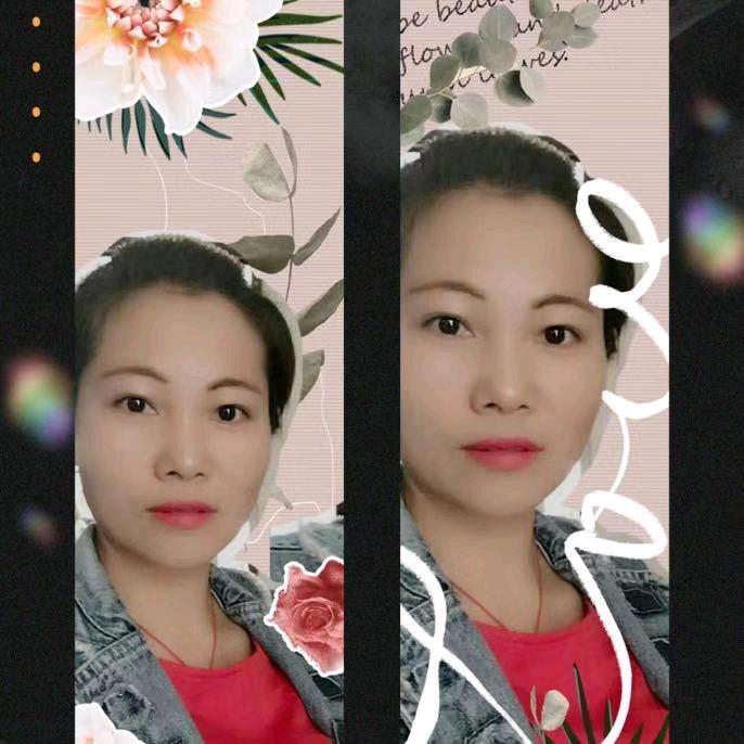 白玫瑰
