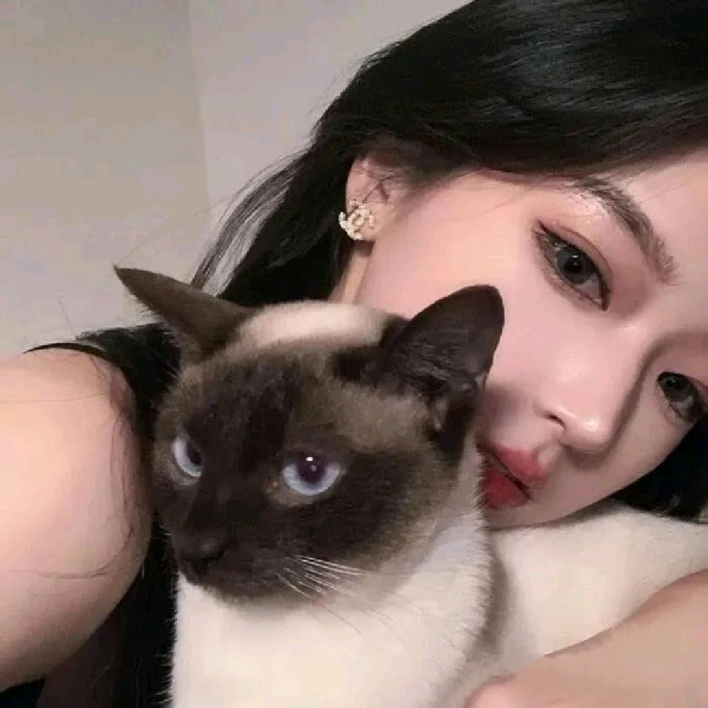 小罗🌙