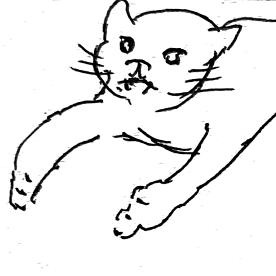 黑鸟动画