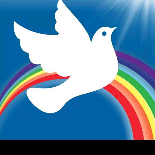 @🌈放夏