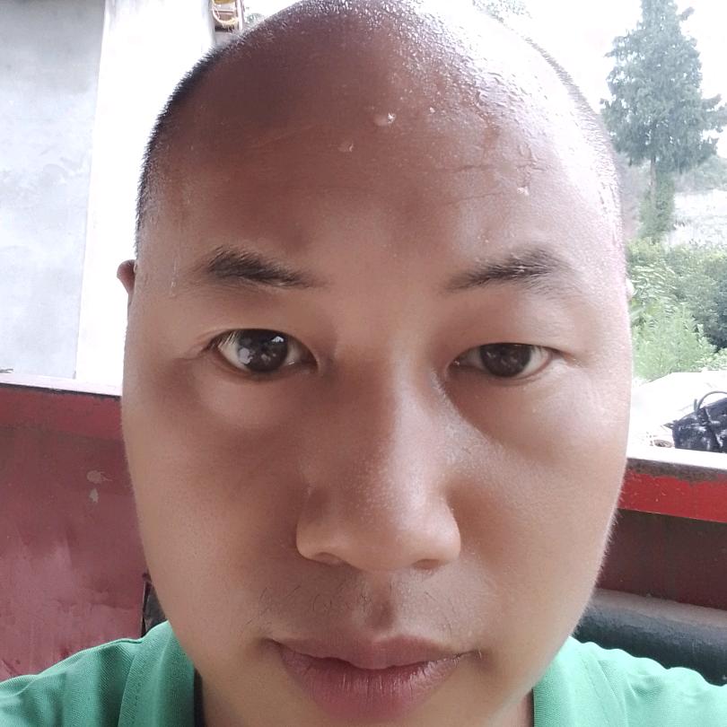 夏天的太阳