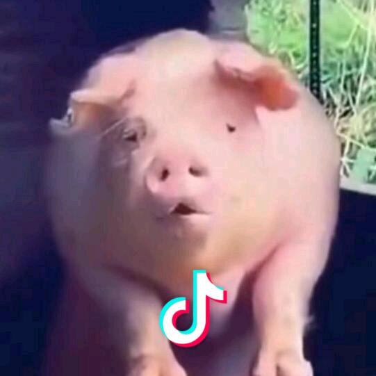 满怀
