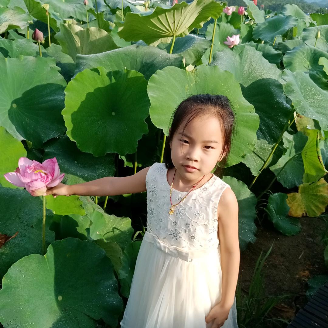 叮咚叮水