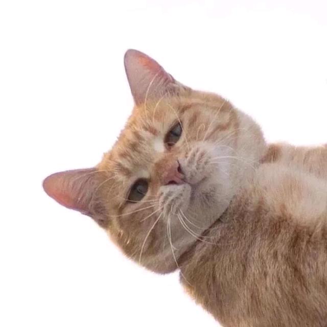 涵亿来来