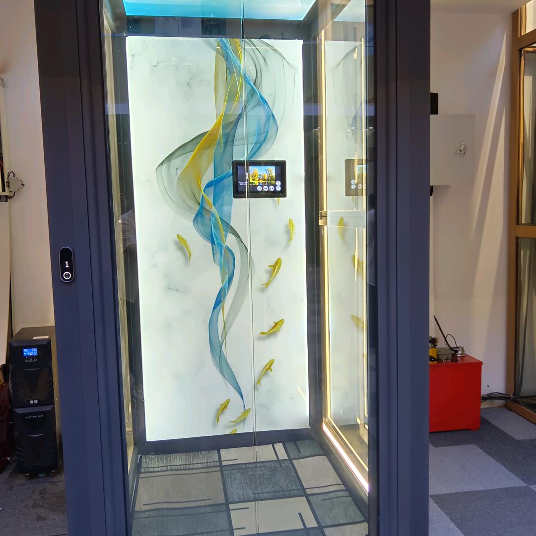 研究电梯的小姐姐