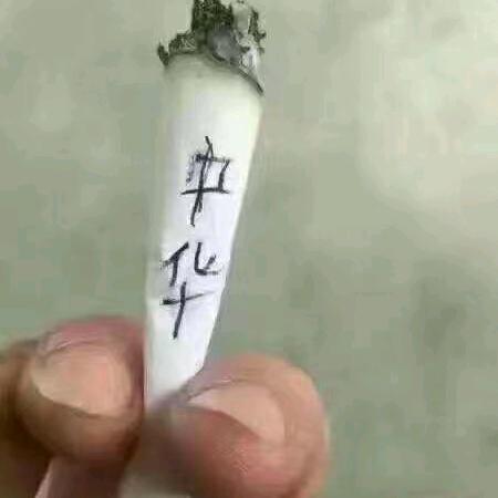 扯淡的生活越扯越淡