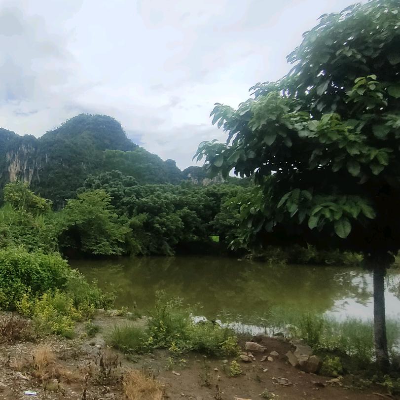 强风暴雨