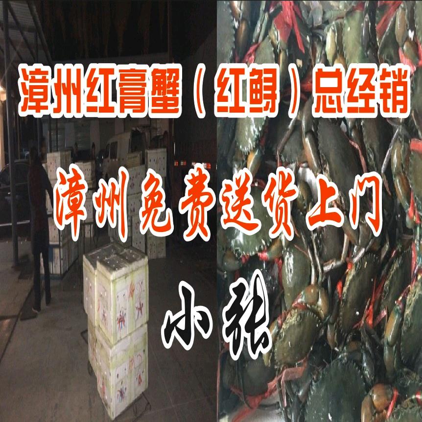 漳州红膏蟹（红鲟）总经销